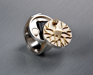 Ring 2013